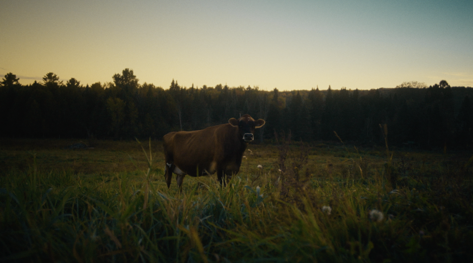 12 régions - Ferme Mylixy