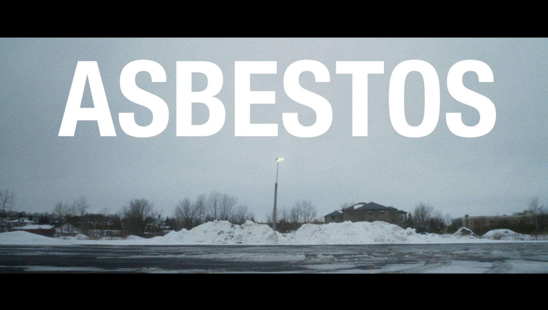 Asbestos