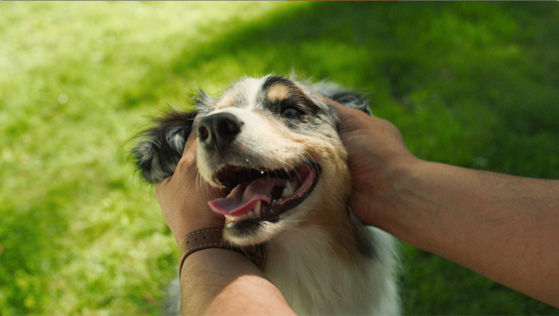 OLG